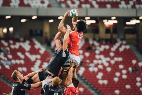 美洲杯超级战士：勇气与技巧的完美碰撞，美洲 杯