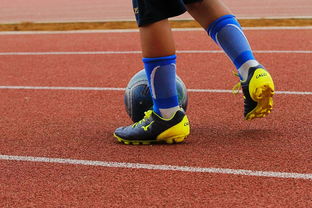 开云体育下载-CBA新赛季全面开打各队实力全面升级，cba新赛季有哪些球队